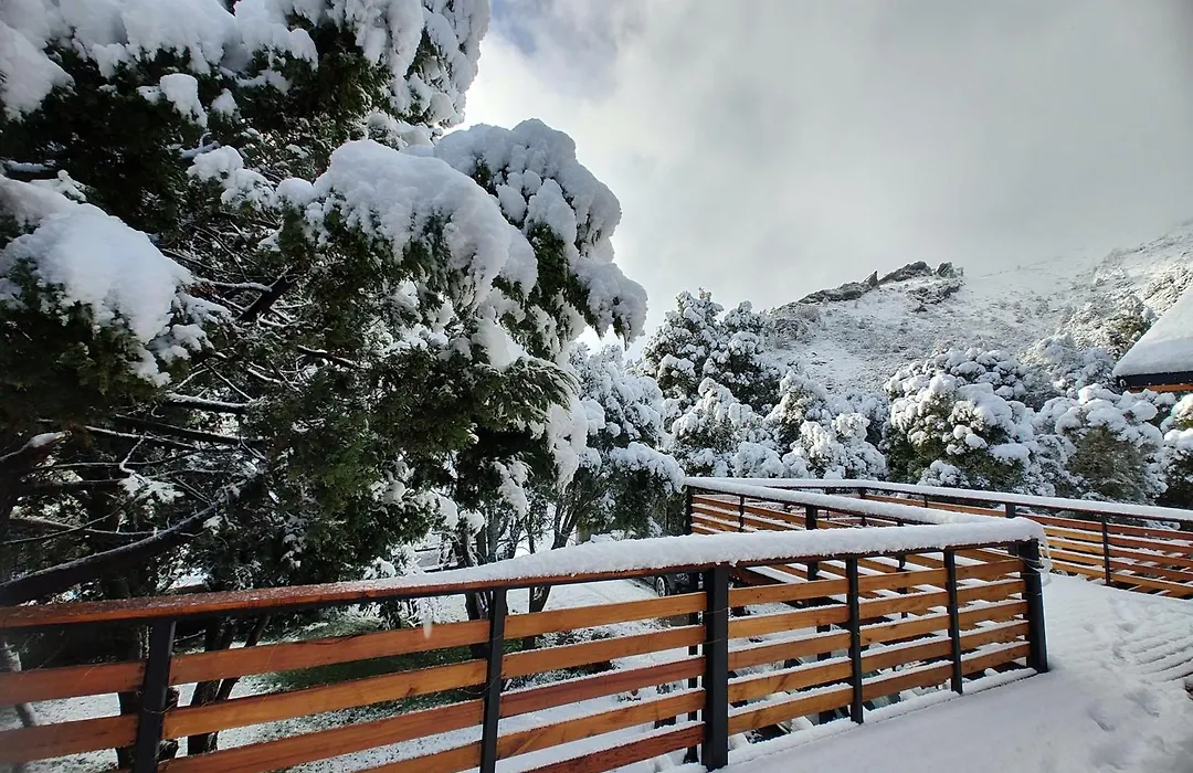 Pinar Del Ventana Bariloche-1